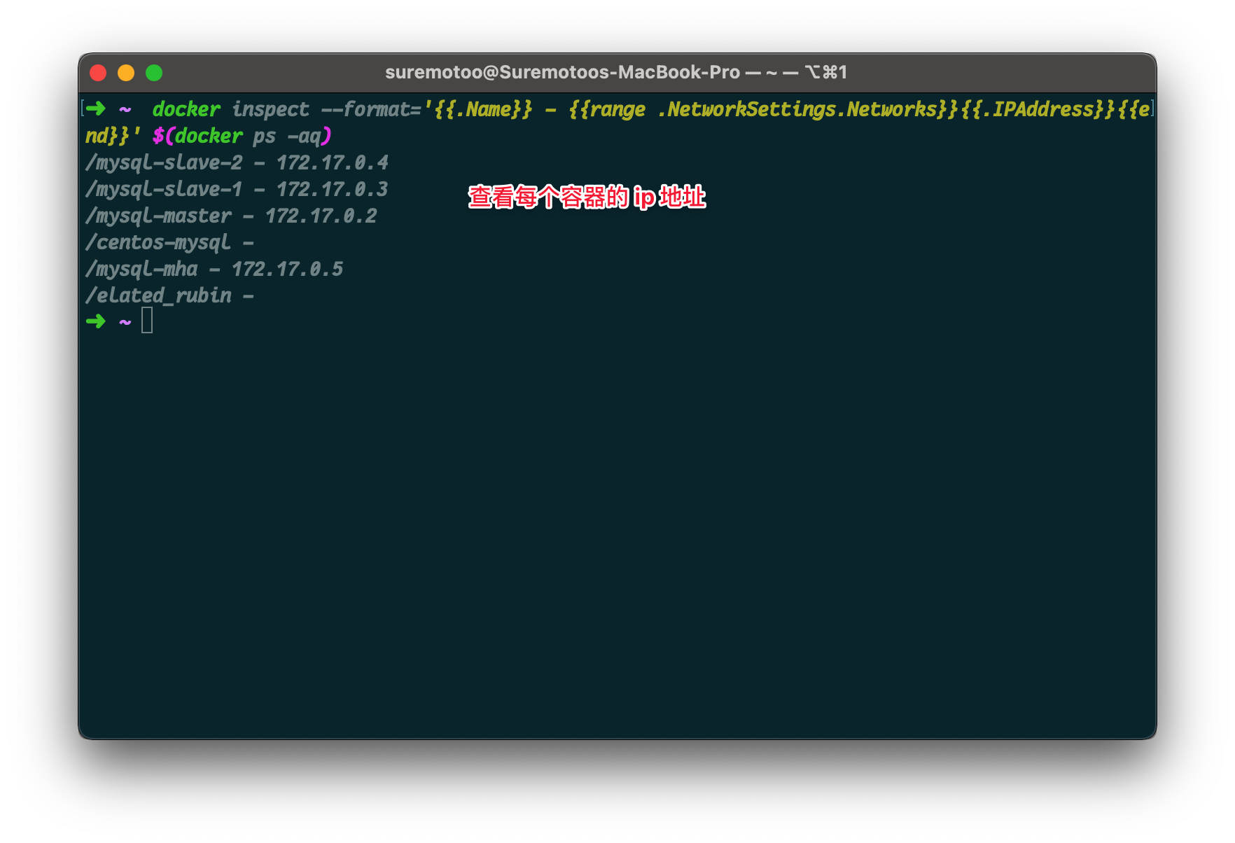 display-docker-container-ip